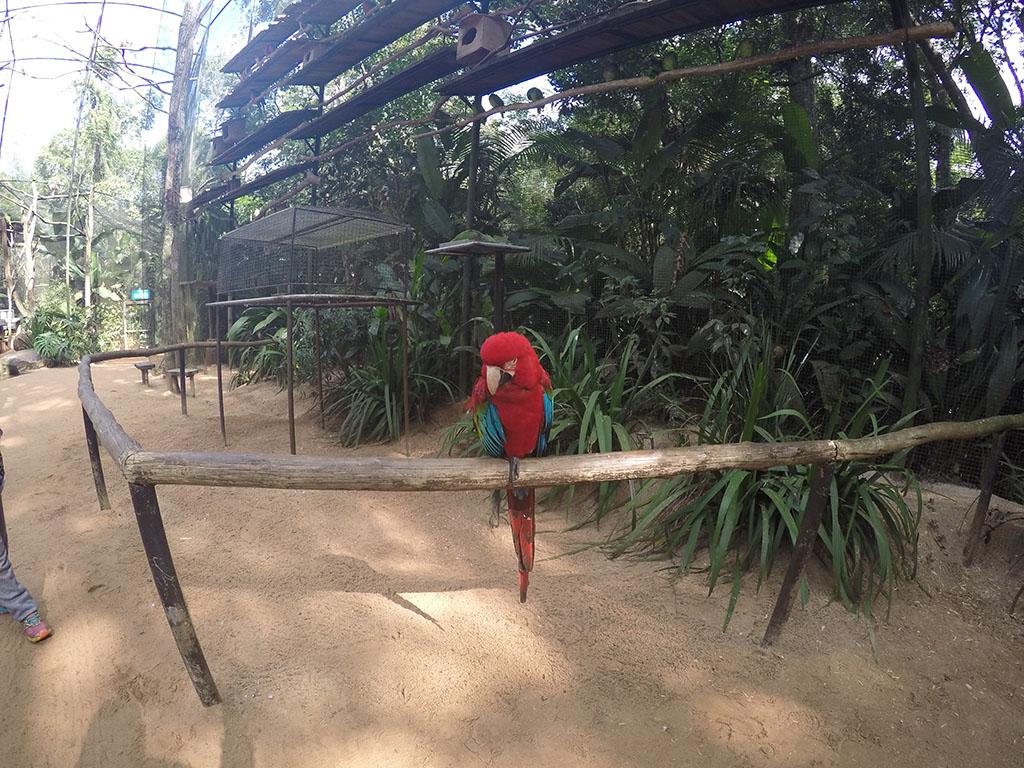 Parque das Aves